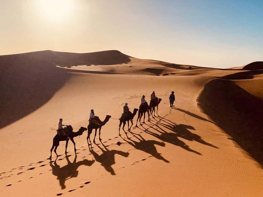 From Merzouga: Overnight Camel Trek over Erg Chebbi Dunes - Quick Booking Checklist: Make It Easier on Yourself