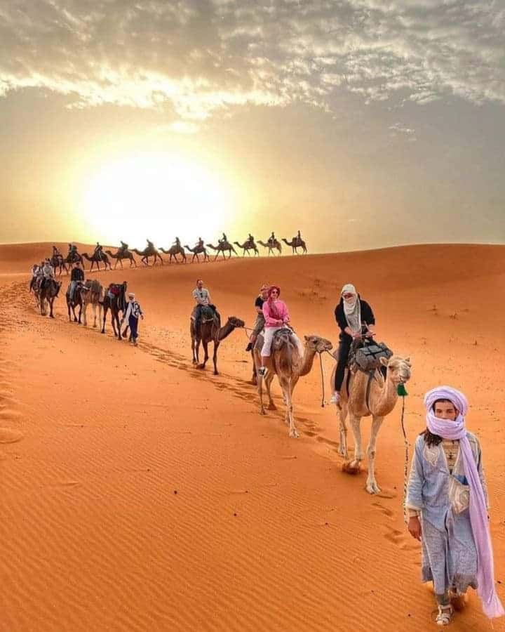 From Merzouga: Overnight Camel Trek over Erg Chebbi Dunes - Kasbah Mohayut Meeting Point: Pool Time and Getting to the Camel Park