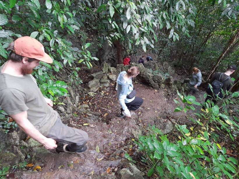 From Ninh Binh: Cuc Phuong National Park Trekking Day Tour - Set lunch inside the park: simple Vietnamese fuel in a good timing slot