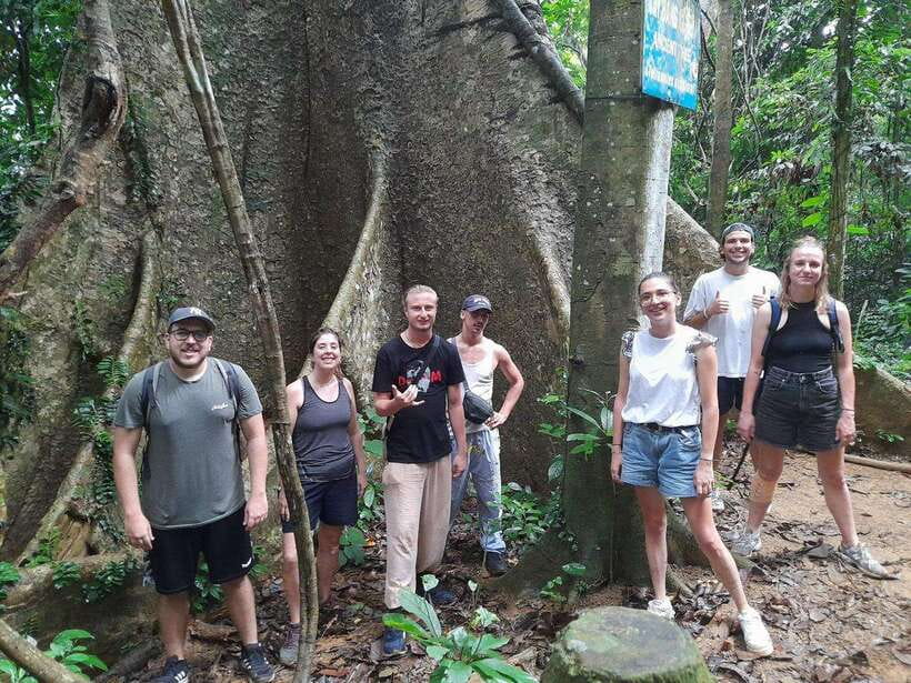 From Ninh Binh: Cuc Phuong National Park Trekking Day Tour - Small group feel, English guiding, and how to make the cave work for you