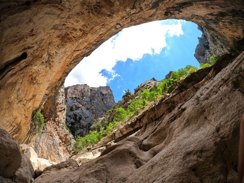 From Orosei or Dorgali: Trek to Gorropu with Panoramic Views - Gorropu Gorge: the fossils and microclimate you’ll actually notice