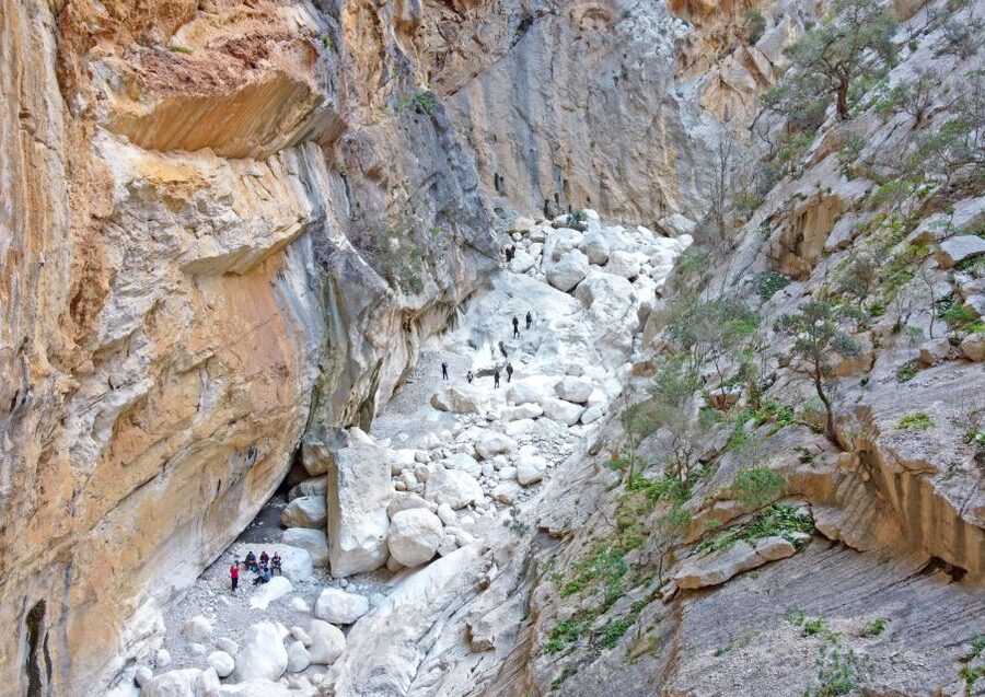 From Orosei or Dorgali: Trek to Gorropu with Panoramic Views - Timing and the full 8-hour plan: what fits where