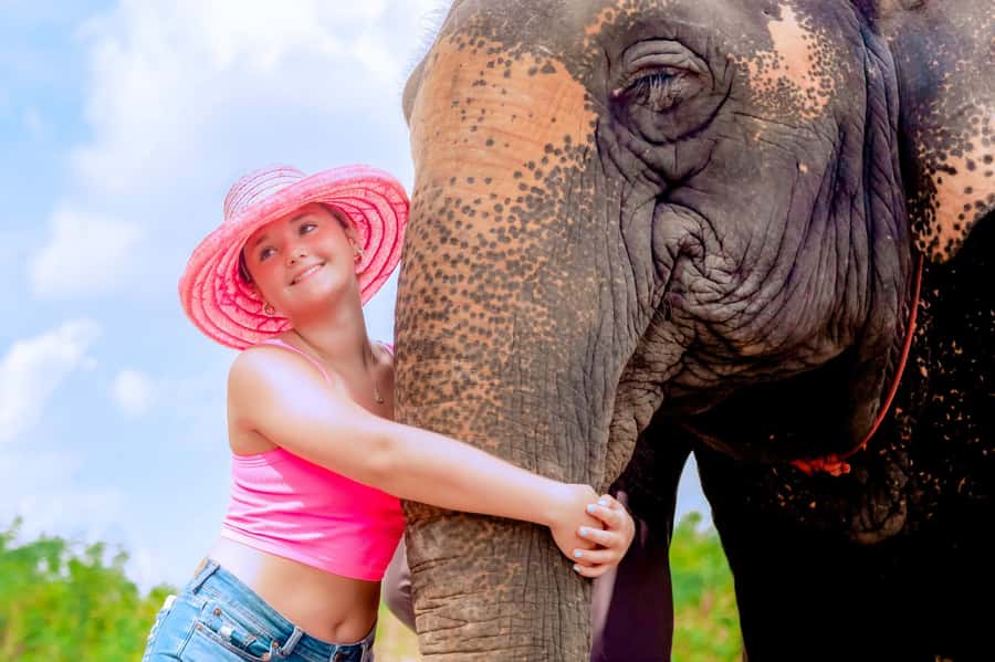 From Phuket: Ethical Elephant Interactive Trek and Tour - What to bring (so the day stays fun, not stressful)