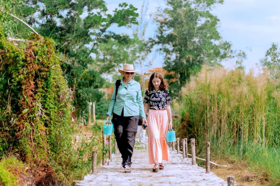 From Phuket: Ethical Elephant Interactive Trek and Tour - The 11 AM lunch break: Pad Thai, seasonal fruit, and real rest