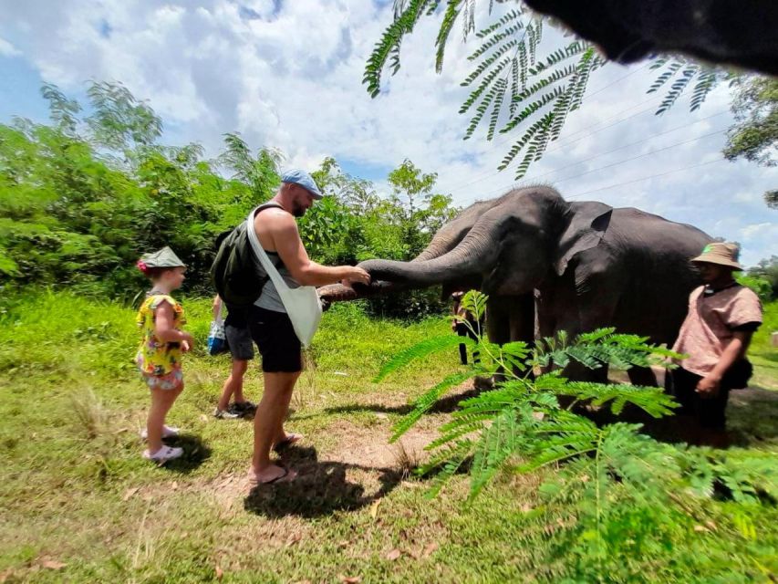 From Phuket: Ethical Elephant Interactive Trek and Tour - Feeding, dietary supplements, and why the afternoon is more “care” than “play”