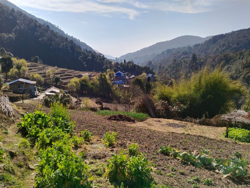 From Pokhara: 10-Day Poon Hill and Annapurna Base Camp Trek - Day 7: Into the Annapurna Sanctuary to Annapurna Base Camp