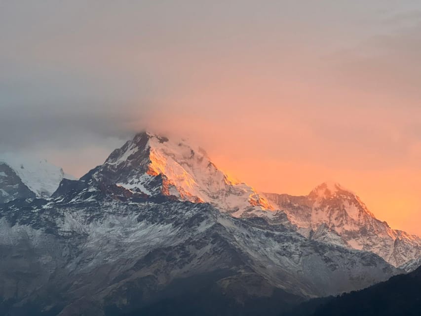 From Pokhara: 2 Day 1 Night Ulleri,Ghorepani Poon Hill Trek - Key highlights you’ll actually feel