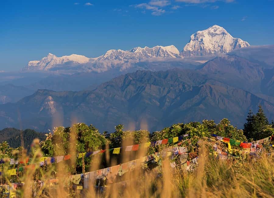 From Pokhara: 3-Day Ghorepani Poon Hill Trek with Guide - Getting Your Body Ready: Stairs, Elevation, and Smart Pace
