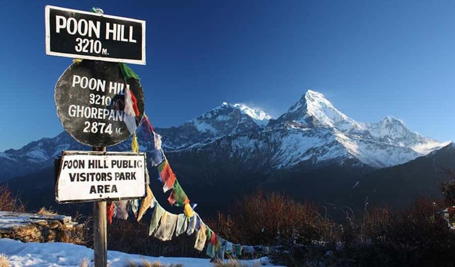 From Pokhara: 3-Day Ghorepani Poon Hill Trek with Guide - Standard vs Premium: Choosing Between Lower Hassle and Lower Cost