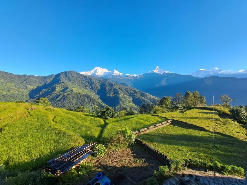 From Pokhara: 3-Day Ghorepani Poonhill Short Trek - Guide Support and Pace: Why This Trek Fits More People Than You’d Think
