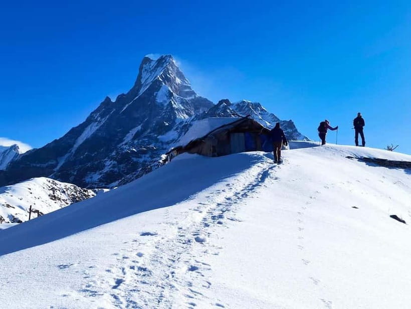 From Pokhara: 4-Day Mardi Himal Base Camp Trek - High Camp Day: Rhododendron to the Views of Machapuchhre