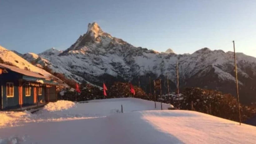 From Pokhara: 4-Day Mardi Himal Base Camp Trek - Tea House Nights: Comfort Level, Food Choices, and Realistic Expectations
