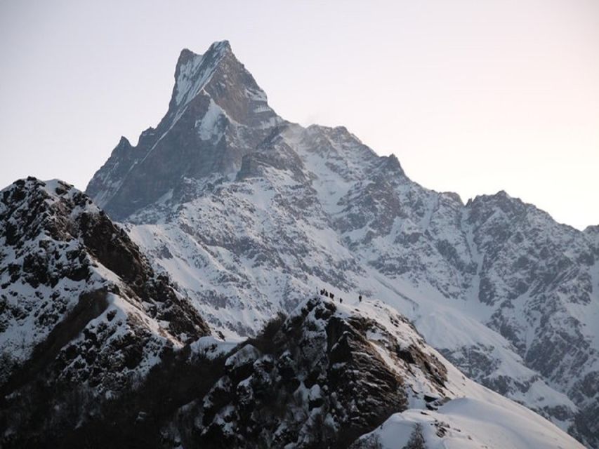 From Pokhara: 5-Day Mardi Himal Base Camp Trek - Guide support, permits, and what you’re really buying for $181