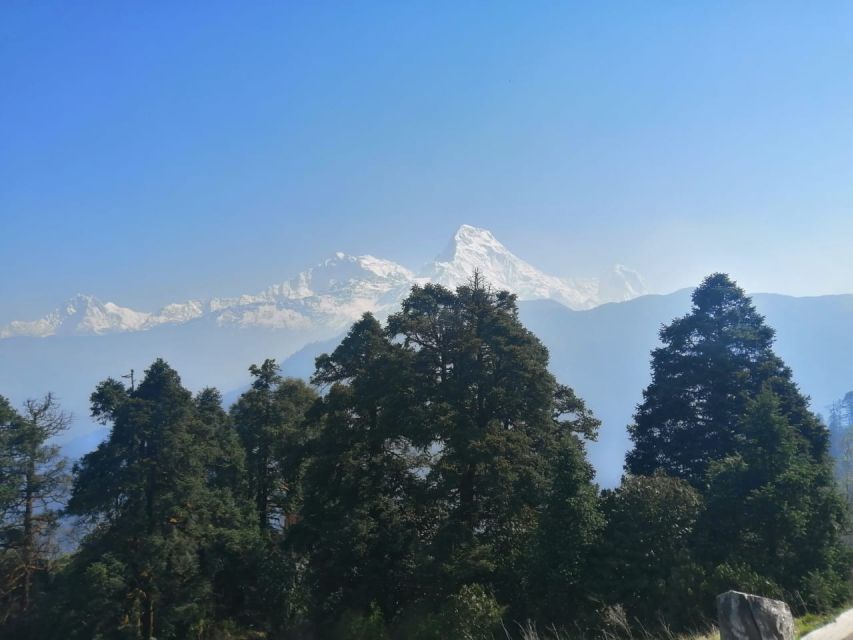 From Pokhara: Budget 2 Night 3 days Poon hill trek - Day 2: Tadapani to Ghorepani, with the pre-sunrise focus already on your mind