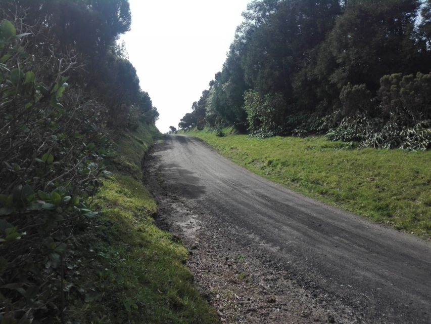 From Ponta Delgada: Vista do Rei to Sete Cidades Guided Trek - Key Highlights You’ll Actually Feel on the Trail