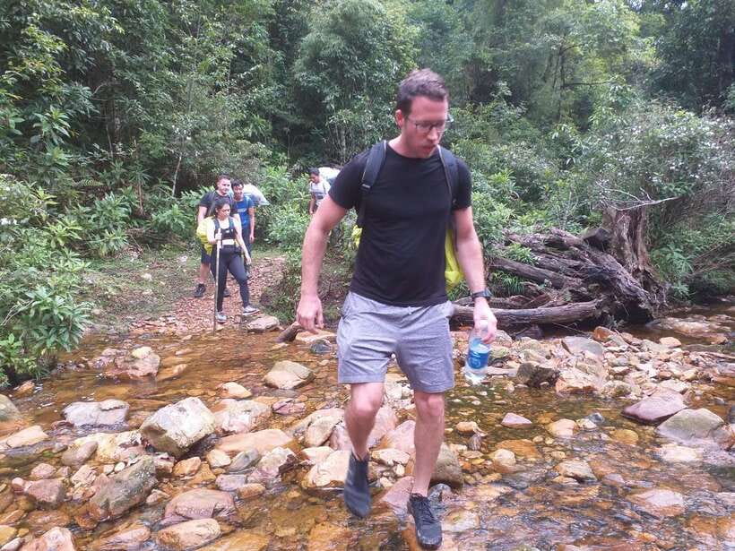 From Sa Pa: Full Day Trek of Fansipan Mountain - The bamboo and rain forest hike: streams, switchbacks, and steady work