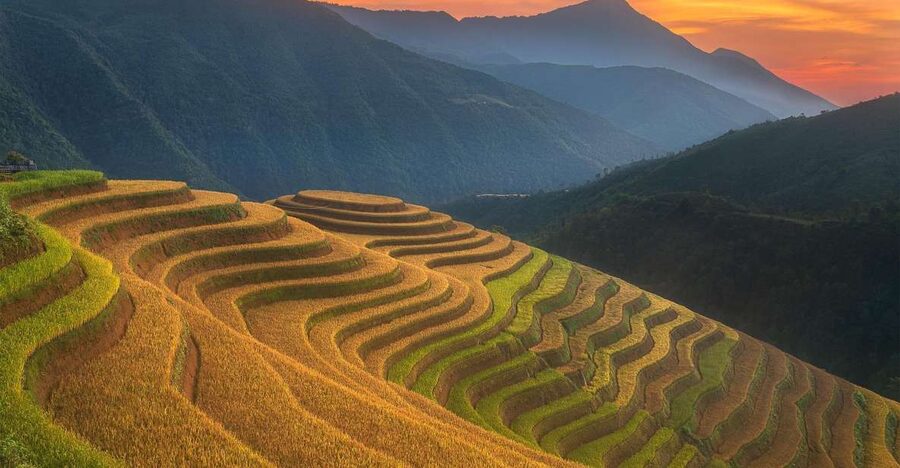 From Sapa: 1-Day Guided Trek to Lao Chai & Ta Van with Lunch - The Muong Hoa–Y Linh Ho walk: where the trek gets scenic fast