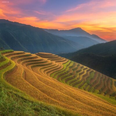 From Sapa: 1-Day Guided Trek to Lao Chai & Ta Van with Lunch - Morning pickup in Sa Pa: how your day stays easy
