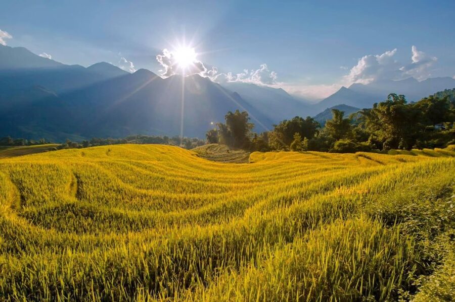 From Sapa: 1-Day Guided Trek to Lao Chai & Ta Van with Lunch - Price and value: is $34 a good deal