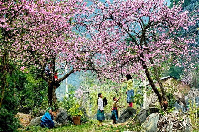 From Sapa: 2 Days 1 Night Trek Over Night At Homestay - Day 2: Giang Ta Chai walk, Supan lunch, and back to Sapa by early afternoon