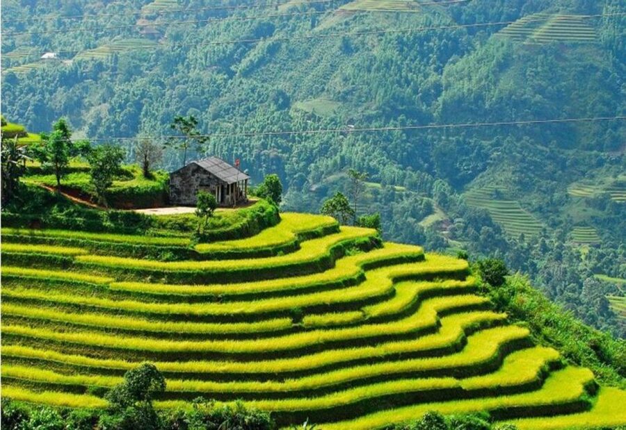 From Sapa: Full-Day Trekking Tour Lao Chai & Ta Van Villages - Key highlights worth your attention