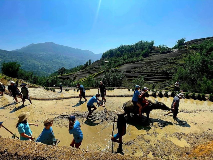 From Sapa: Full-Day Trekking Tour Lao Chai & Ta Van Villages - Who should choose this Lao Chai and Ta Van trek