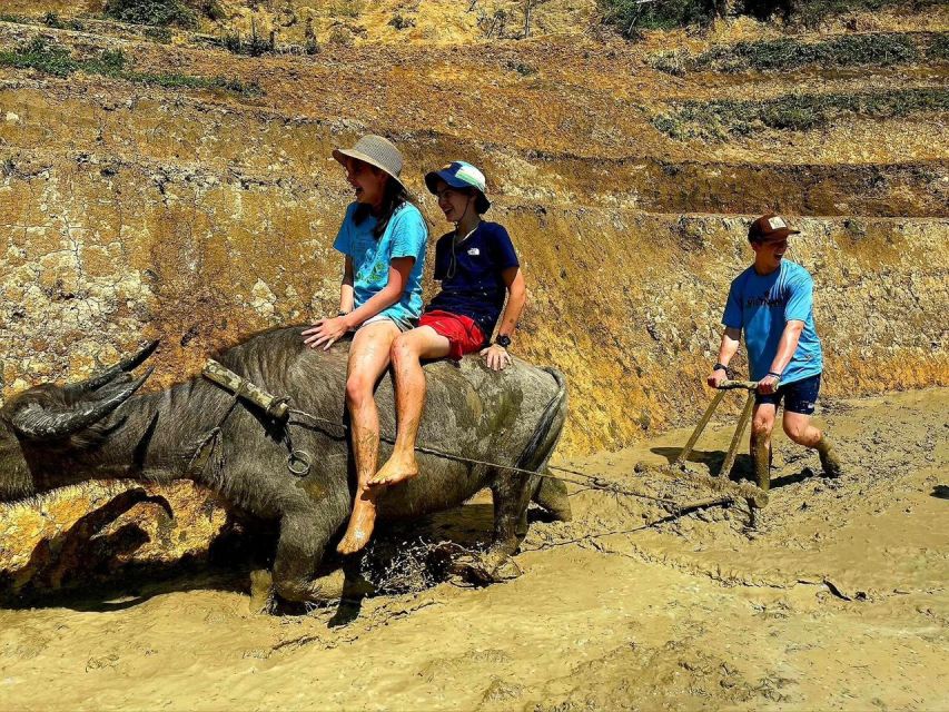 From Sapa: Full-Day Trekking Tour Lao Chai & Ta Van Villages - Sapa pickup, timing, and what small-group really means