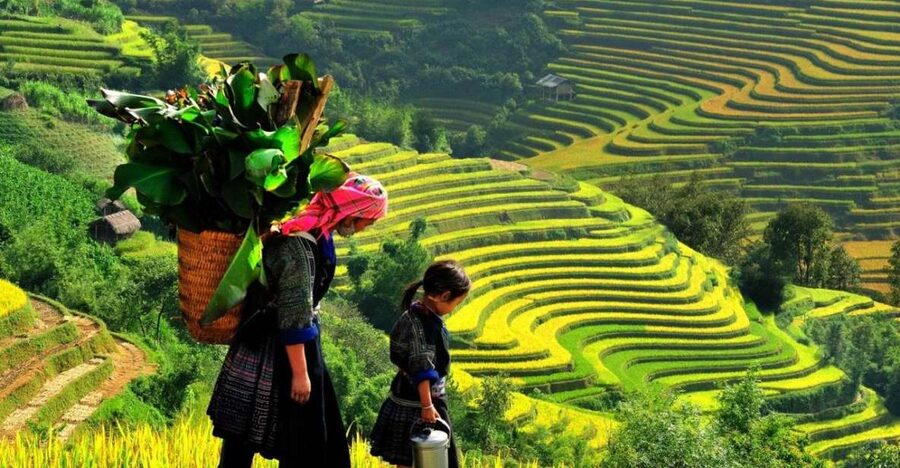 From Sapa: Full-Day Trekking Tour Lao Chai & Ta Van Villages - Lao Chai village visit: Black H’mong and Red Dao daily life