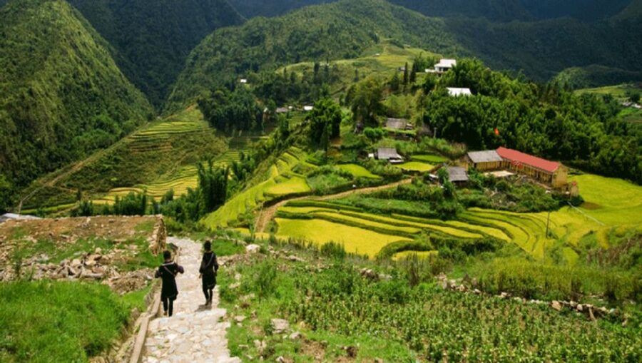 From Sapa: Full-Day Trekking Tour Lao Chai & Ta Van Villages - A guided ridge of rice terraces: the view is the reward, but the walk is the point