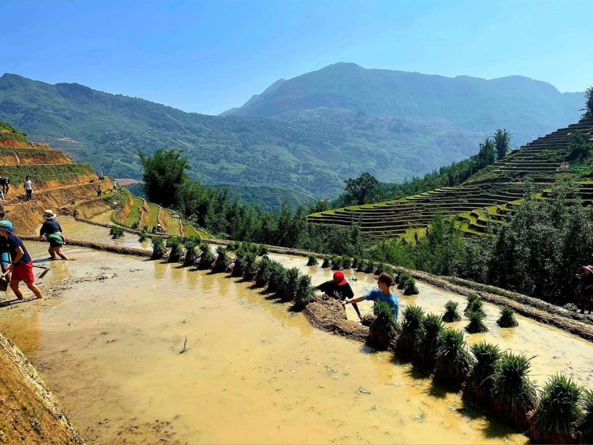 From Sapa: Full-Day Trekking Tour Lao Chai & Ta Van Villages - Ta Van village: stilt houses and terrace views up close