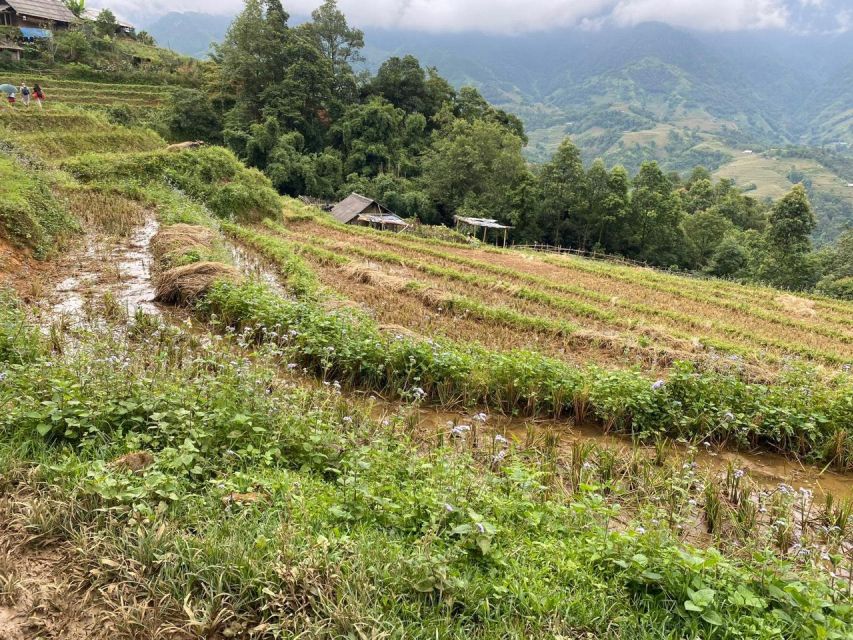From Sapa: Full-Day Trekking Tour Lao Chai & Ta Van Villages - Mud, crowds, and vendor pressure: how to keep the day enjoyable