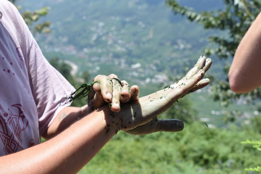 From Sapa: Muong Hoa Valley View & Village Trek 1-Day - Timing and fitness: what you should be ready for