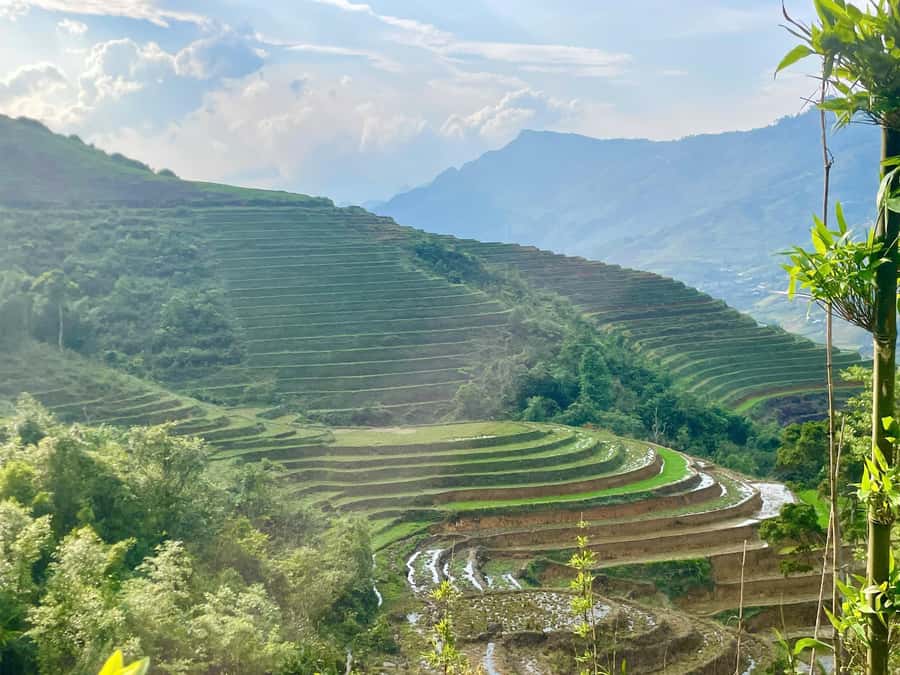 From Sapa: Sapa Trekking Private Tour With Female Guide - Price and value: what $30 buys you here