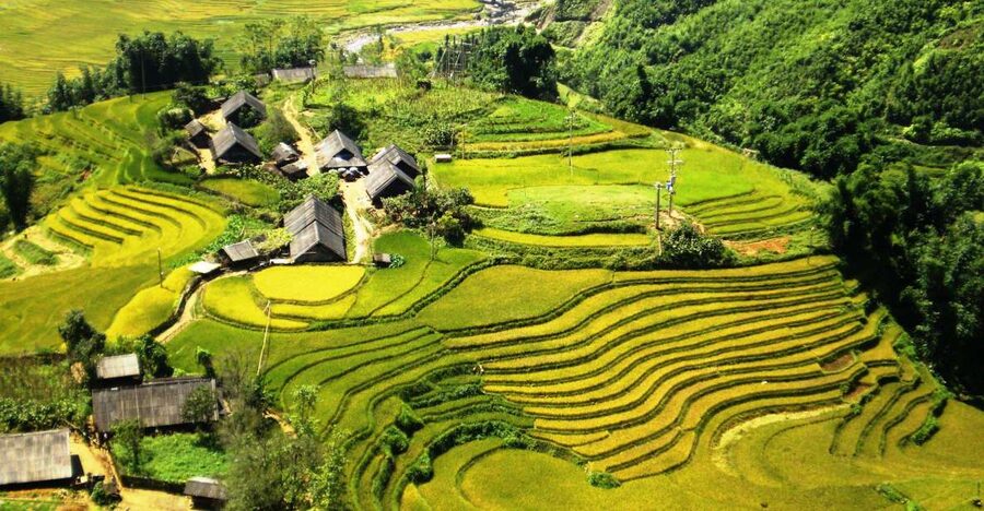 From Sapa: Terrace Fields and Local Villages Trek with Lunch - Sapa Terrace Fields on Foot: the scenery you came for, plus village life