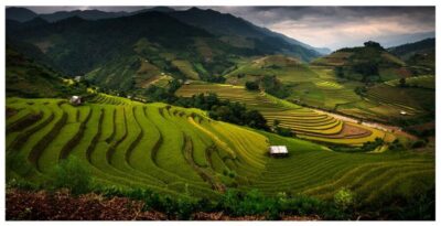 From Sapa: Terrace Fields and Local Villages Trek with Lunch - Hotel pickup and Sapa town walking: 08:00–08:45