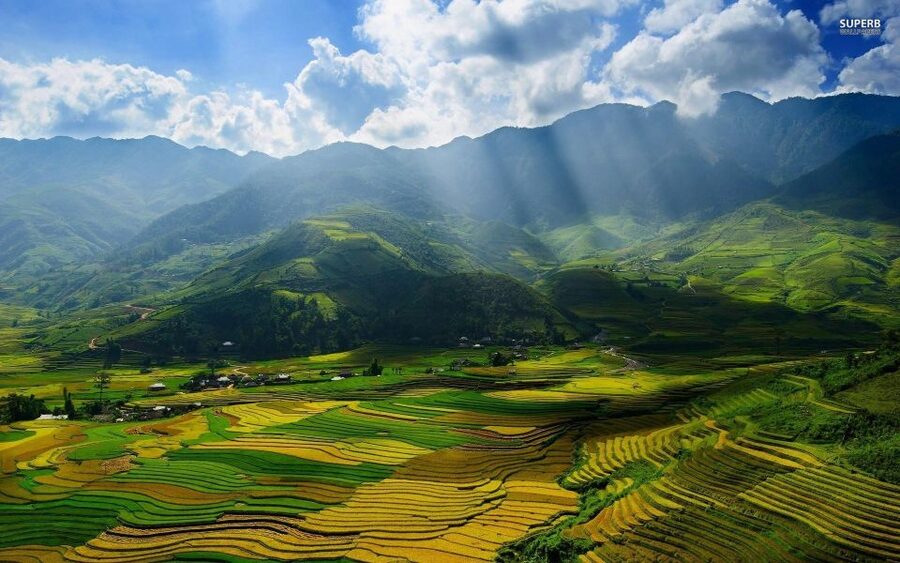 From Sapa: Terrace Fields and Local Villages Trek with Lunch - Bamboo forest paths, fog, and slippery footing: how to handle the real conditions