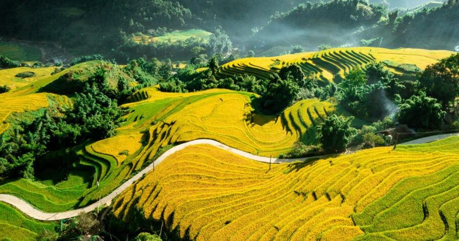 From Sapa: Terrace Fields and Local Villages Trek with Lunch - Shuttle back to Sapa: finish strong, not wiped out