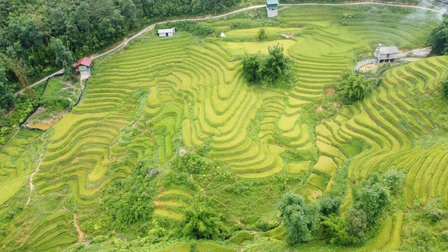 From Sapa: Terrace Fields and Local Villages Trek with Lunch - Price and value: why $22 can be a smart deal in Sapa