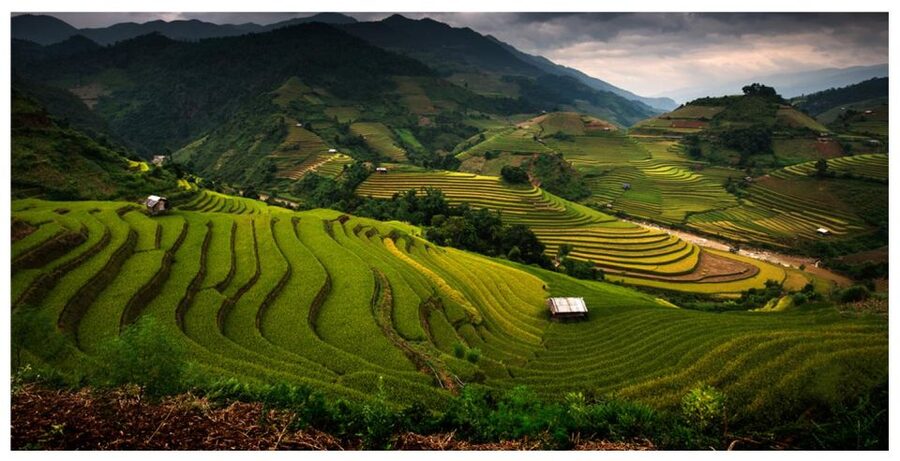 From Sapa: Terrace Fields and Local Villages Trek with Lunch - Hotel pickup and Sapa town walking: 08:00–08:45