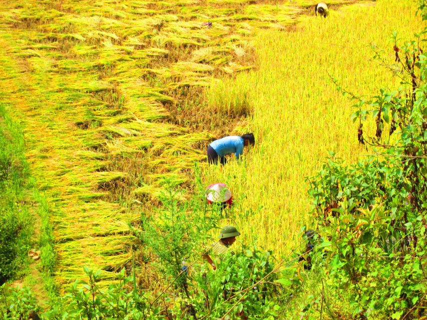 From Sapa: Waterfalls, Trekking and Tribal Villages Tour - Guides make or break it: English, stories, and photo-friendly pacing