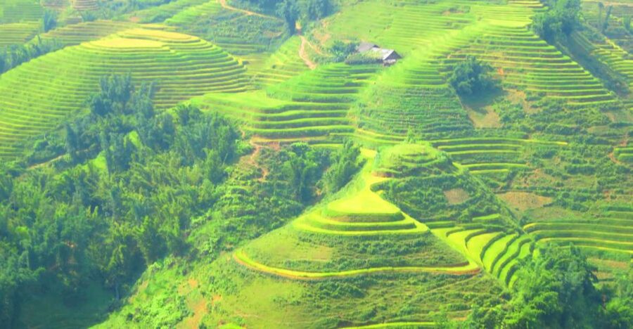 From Sapa: Waterfalls, Trekking and Tribal Villages Tour - Tram Ton Pass: The short scenic pause that keeps the day balanced