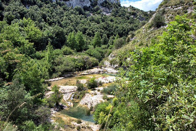 From Syracuse: Trekking Cavagrande - A Guide Makes the Plants (and the Place) Make Sense
