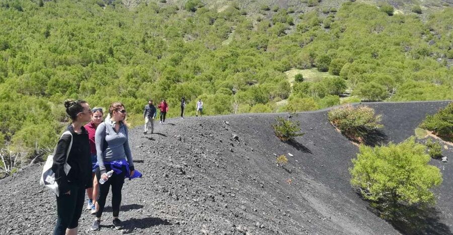From Taormina: Half-Day Mount Etna Morning Trek - From Taormina to Etna: a morning that changes your scale