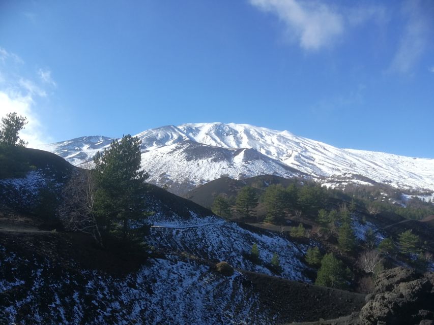 From Taormina: Half-Day Mount Etna Morning Trek - Price and value: what $106 buys you on Etna