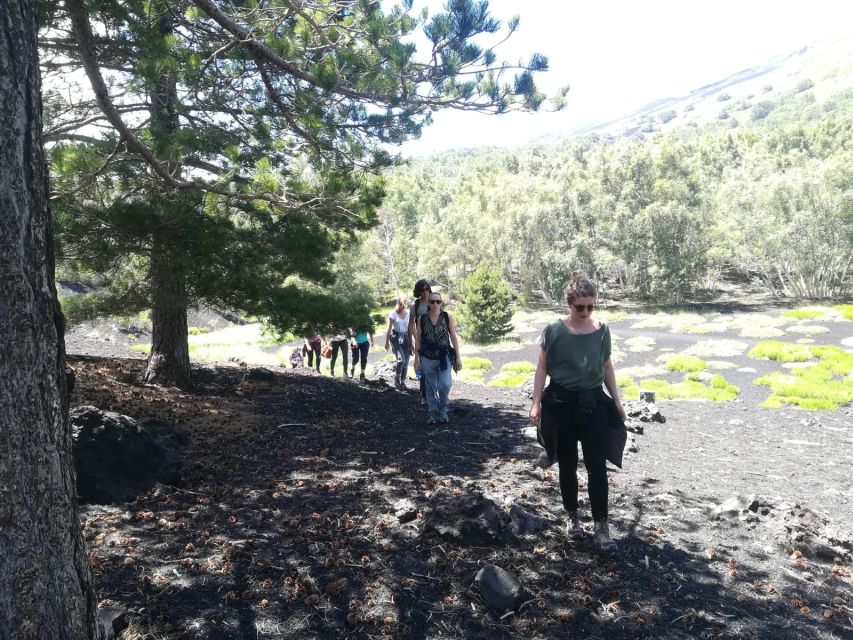 From Taormina: Half-Day Mount Etna Morning Trek - Booking advice: choose a day and pick a guide you’ll enjoy