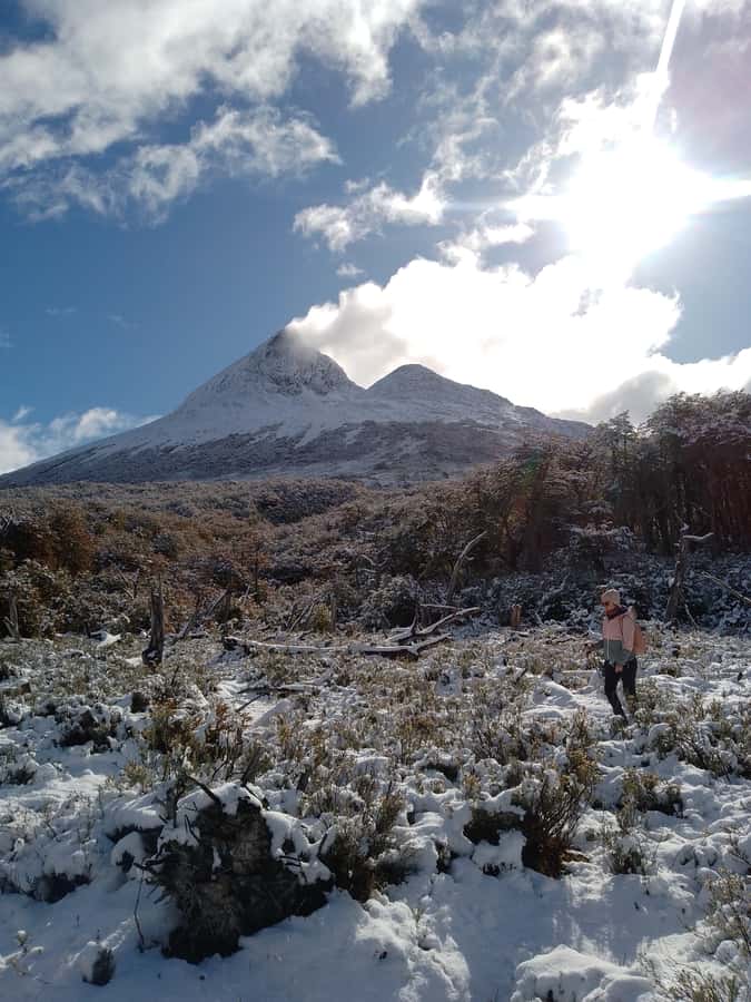 From Ushuaia: Tierra del Fuego Emerald Lagoon Trekking Tour - The hike to the lagoon: forests, two valleys, and river-source vibes