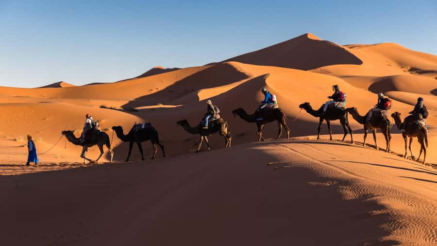 From Zagora: 3-Desert Tour to Erg Chigaga Dunes & Caml Trek - Who this tour suits best (and who should rethink)