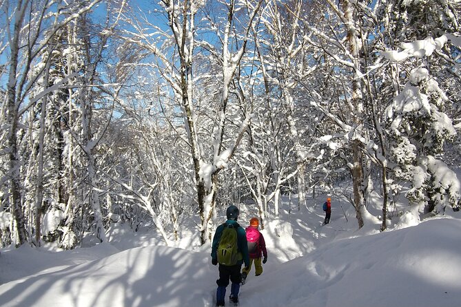 Frozen fall trekking - Lunch and the 8-hour reality in winter