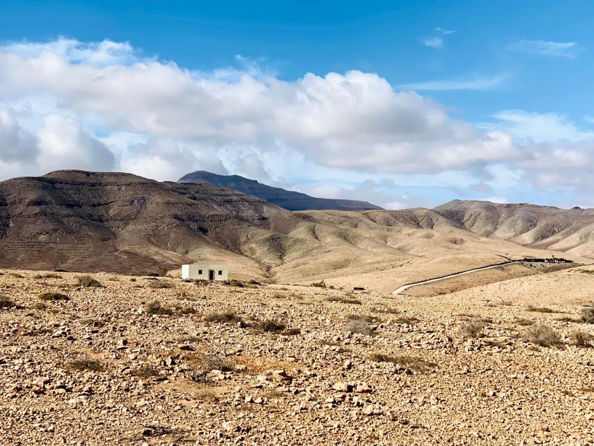 Fuerteventura: Guided Trekking Tour with Island Goats - Lunch in a Hut: Goat Cheese, Tomatoes, and Local Flavor