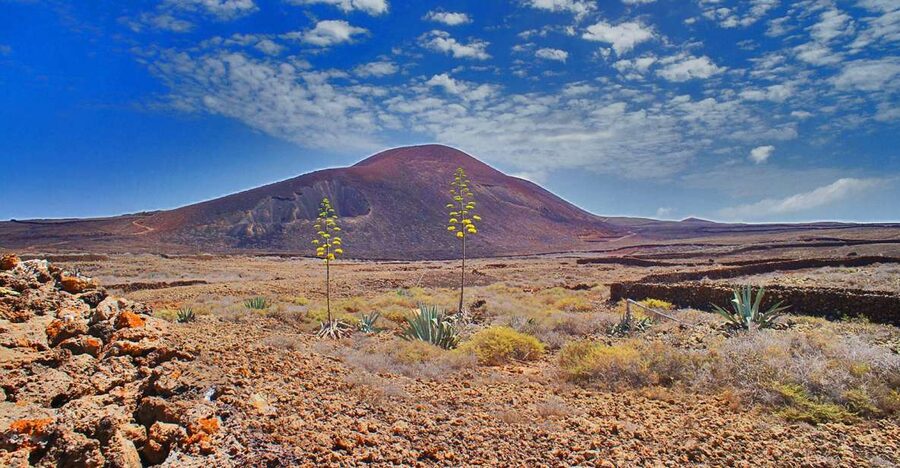 Fuerteventura: Trekking Tour Through the North of the Island - Why North Fuerteventura feels different fast
